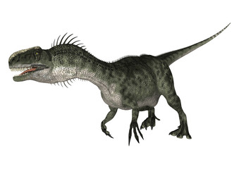 Dinosaur Monolophosaurus