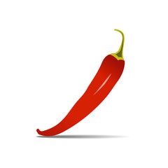 chili vector