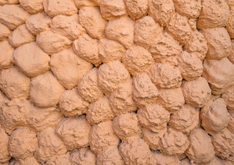 Fototapeta na wymiar dry soil texture for background