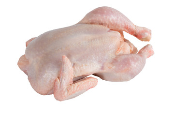 chicken meat