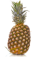 Ripe ananas