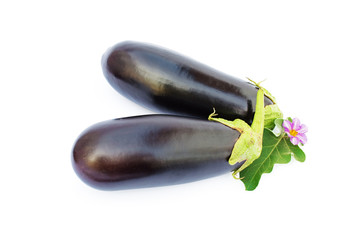 Fresh eggplants with flower and leaves