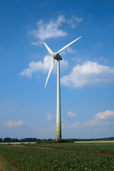 wind energy / wind power / wind turbine