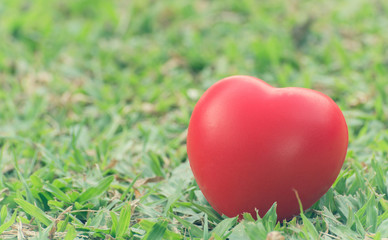 Fototapeta na wymiar Heart of love in Valentine's day on green grass.