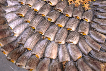 Trichogaster pectoralis, Dry fish out salty