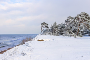 snowy shore of the Baltic Sea
