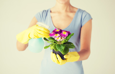 woman holding pot with flower and spray bottle
