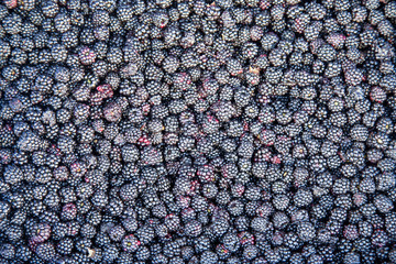 Blackberries on the market