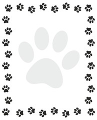 Frame from paws
