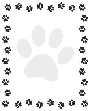 Frame from paws