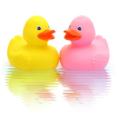 Rubber duck couple in love