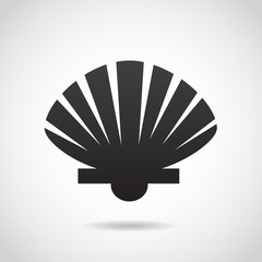 Shell vector icon.