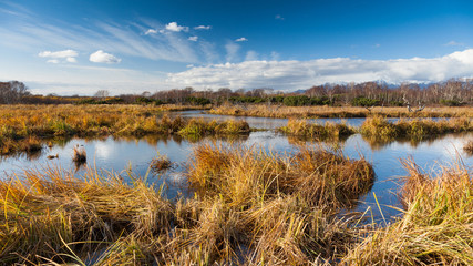 Dry grass in the autumn meadow against the river.