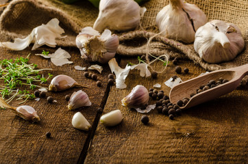 Obraz na płótnie Canvas Bio garlicspices and fresh microgreens bio garlic
