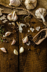 Bio garlicspices and fresh microgreens bio garlic