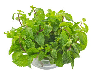Mint