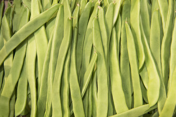 stalks beans close-up
