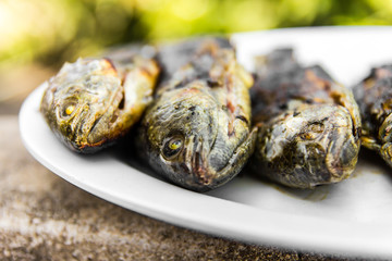 Close-head fish grilled, fried dishes blurred scorch burns