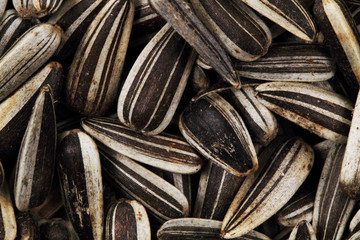 sunflower seeds as nice background