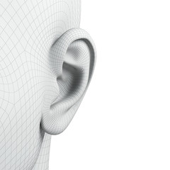 3d ear