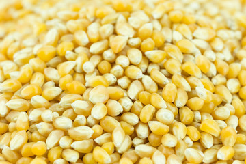 Yellow grain corn