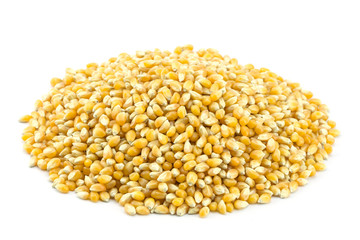 Close up yellow grain corn