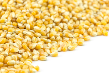 Close up yellow grain corn