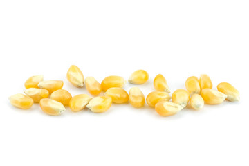 Close up yellow grain corn