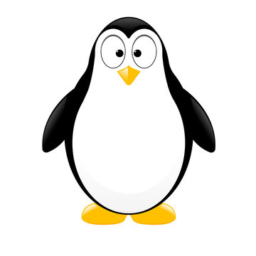 vector penguin