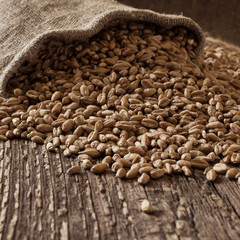 Grain poured out of the bag closeup