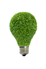 Light bulb of green leaves on a white background