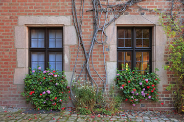 Fototapeta na wymiar House windows with flowers, vines and brick wall in Nuremberg