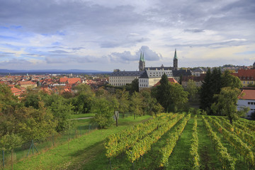 Fototapeta na wymiar Vineyard and cathedral in Bamberg, Germany