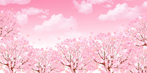 桜　空　背景