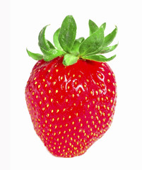 Juicy strawberry.
