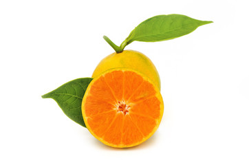 Orange fruit