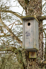 Birdhouse