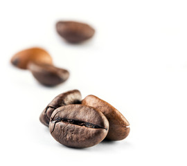 Coffee beans on the white background