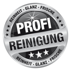 Profireinigung - Reinheit, Glanz und Frische