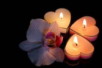 Candles hearts with orchid on black background love concept
