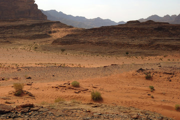 Fototapeta na wymiar desert called Wadi Rum in Jordan in the Middle East
