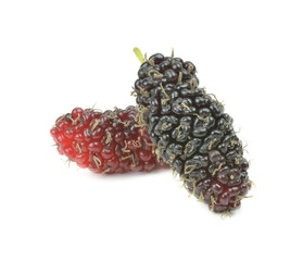 Mulberry isolated on white background
