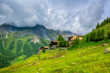 Fototapeta premium Paesaggio di montagna con animali