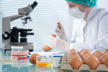 Food quality control expert inspecting at chicken eggs