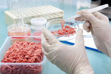 Food quality control expert inspecting at meat specimen