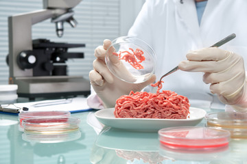 Food quality control expert inspecting at meat specimen