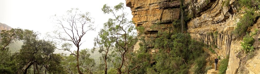 Blue Mountains National Park, Australia