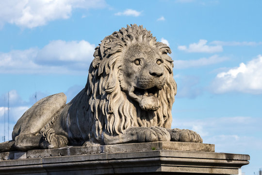 Lion on a pedestal on the support of the bridge in Budapest