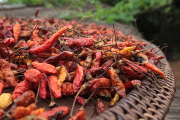 ASIA SOUTHEASTASIA LAOS VANG VIENG LUANG PRABANG