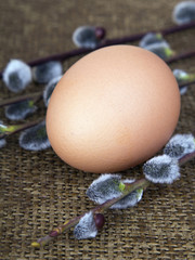 Catkins and egg on brown background